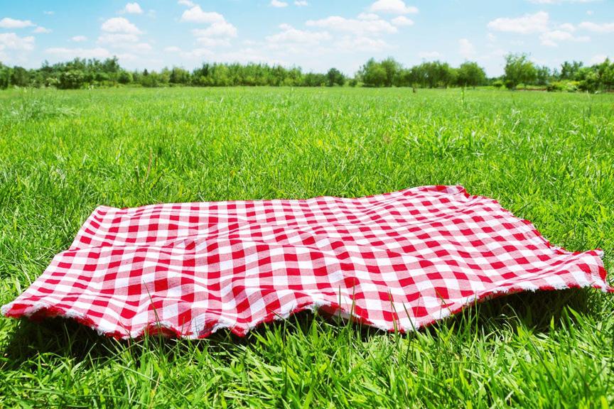 Why not make and enjoy spring's first picnic?